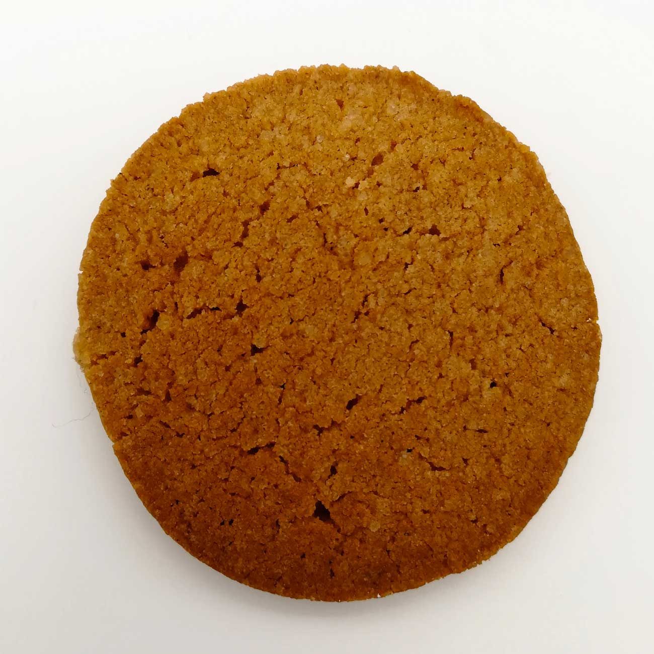 MO-speculoos